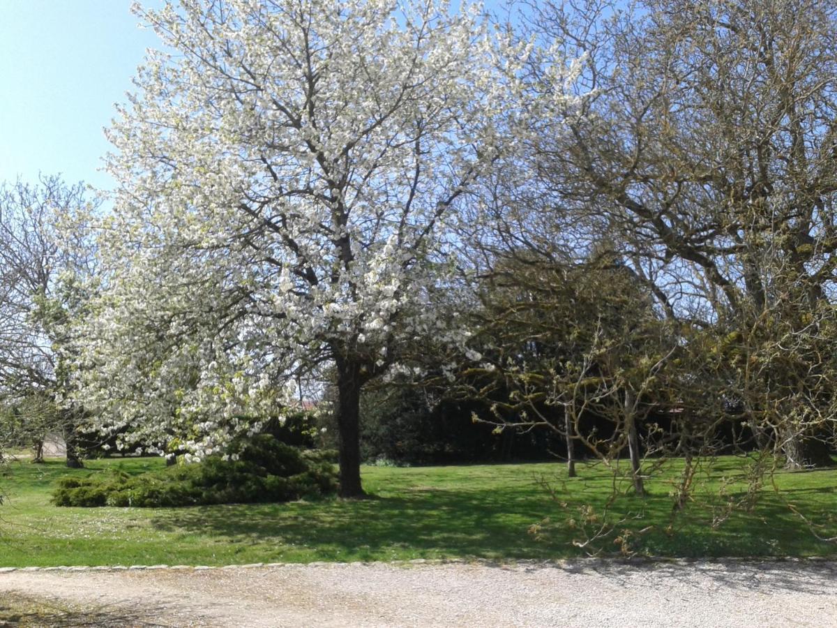 B&B Ferme De La Rouzannerie Pour 2 Ou Famille Lanneray Buitenkant foto